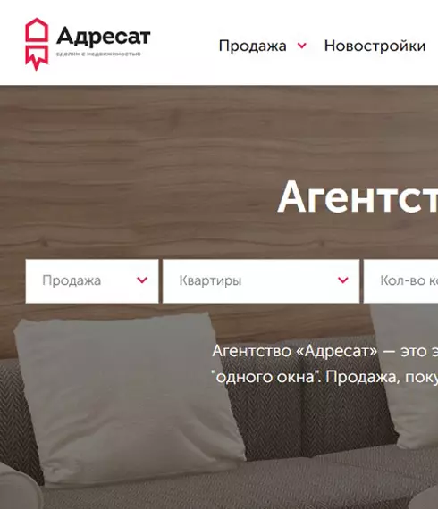 Кейс продвижения сайта Адресат